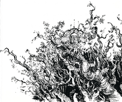 Forêt racine labyrinthe - (c) Illustration de Bruno Mallart