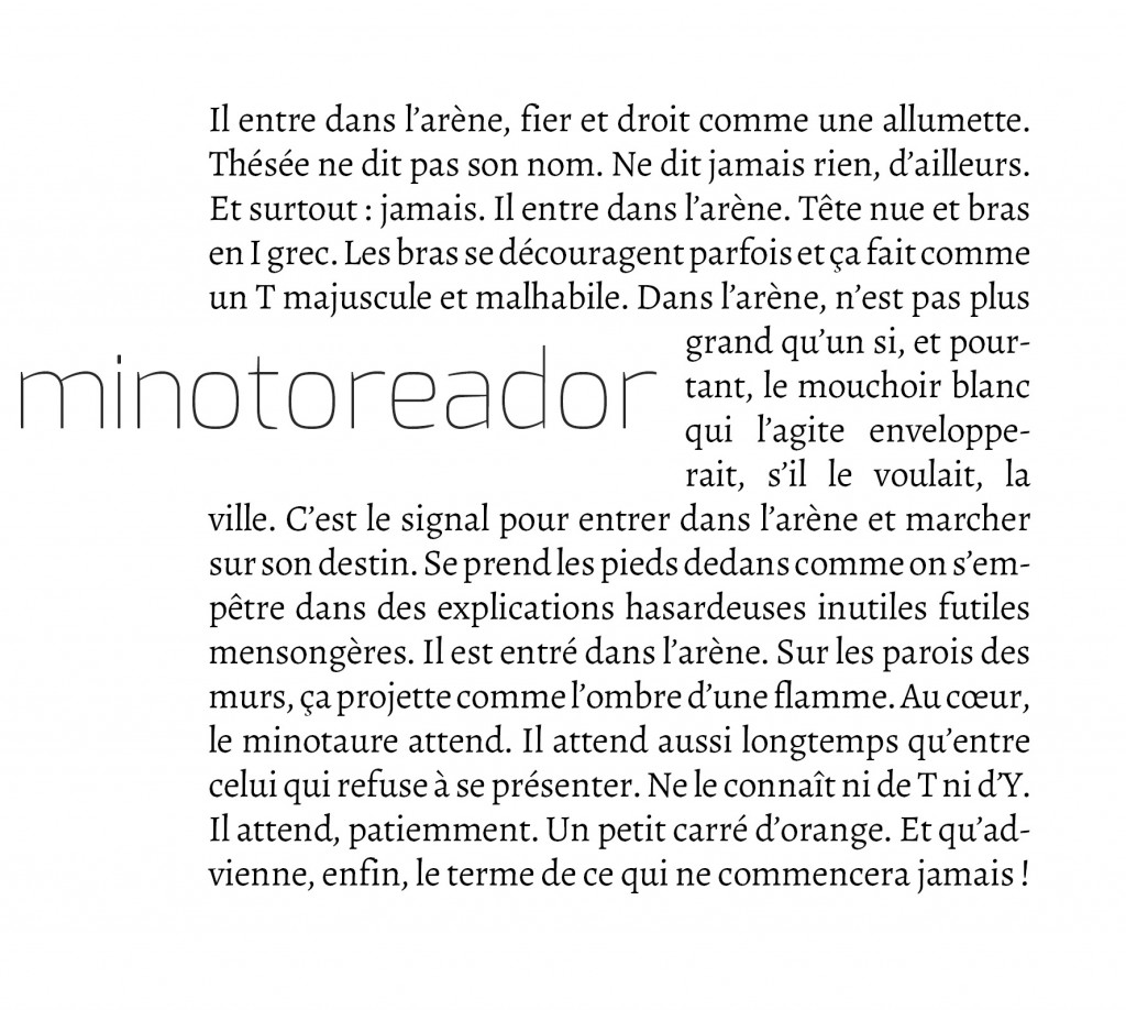 minotoreador - (c) Sébastien de Cornuaud-Marcheteau