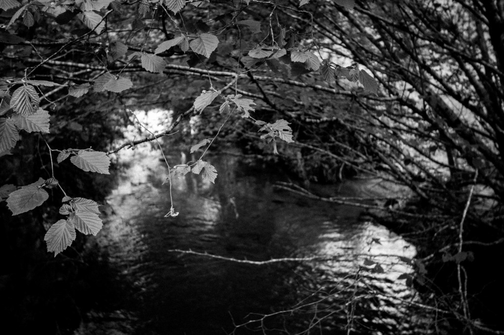 (c) Photo collection personnelle,  (ruisseau de la Ligueure dans les Deux-Sèvres)